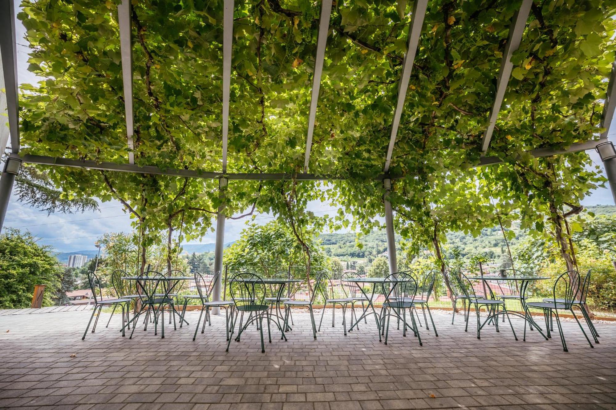 Ostello Prenocisca Prisoje Capodistria Esterno foto